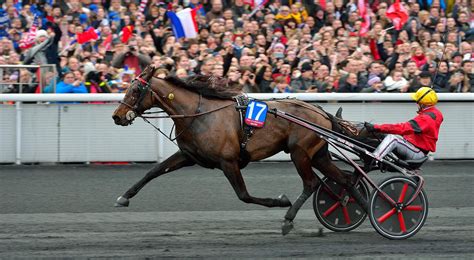 le trot com les courses|le trot courses du jour.